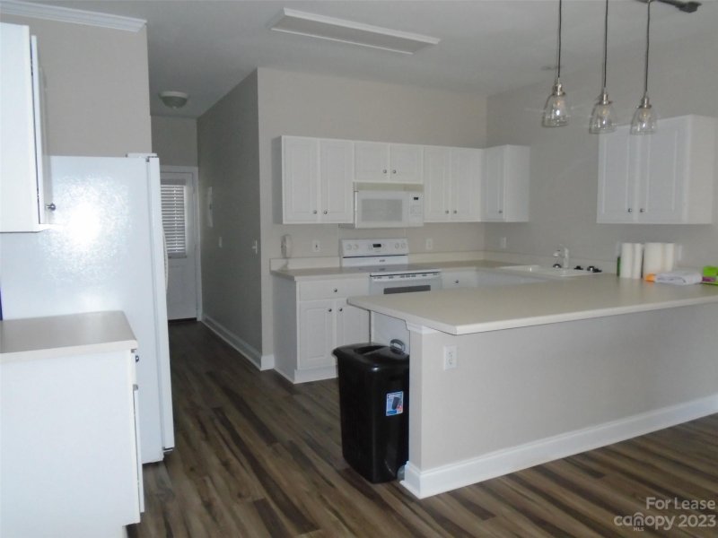 Property image 3 at 21219 Hickory Street, Cornelius, NC 28031