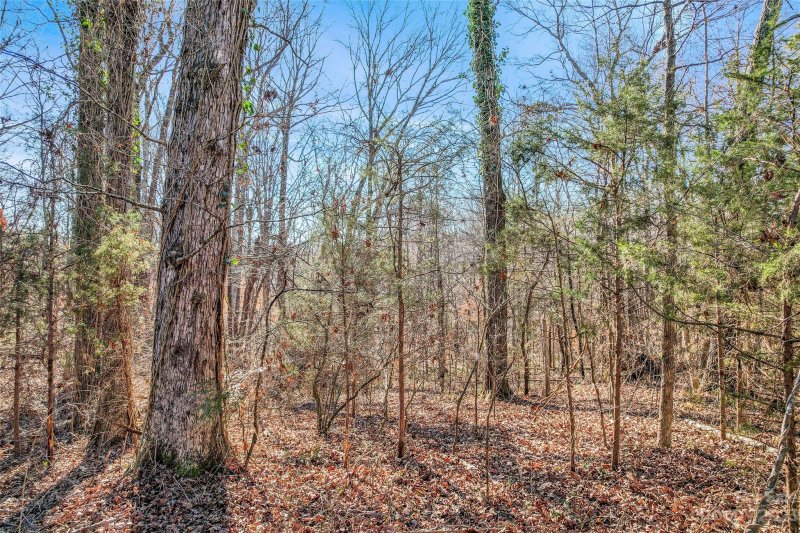 Property image 5 at 11107 E Lake Road, Charlotte, NC 28215