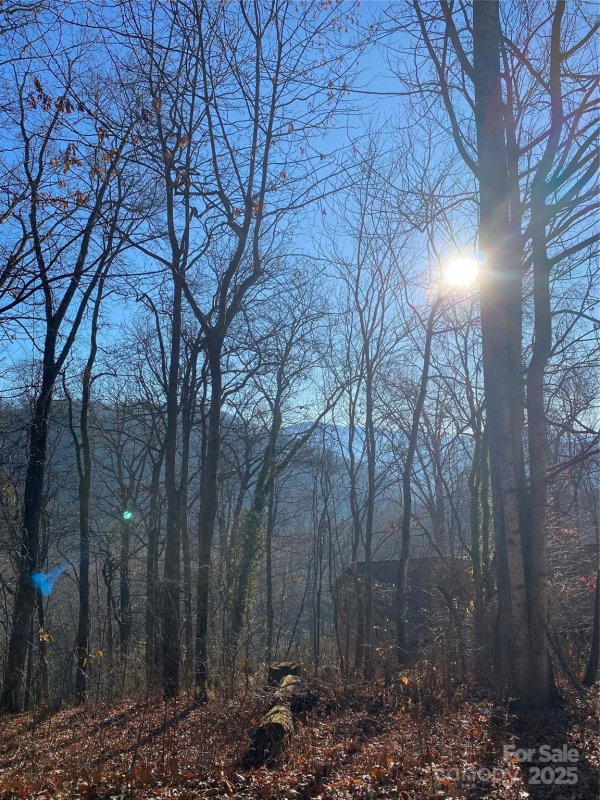 Property image 2 of 000 Wash Freeman Road in Lace Falls, Hendersonville, NC 28792