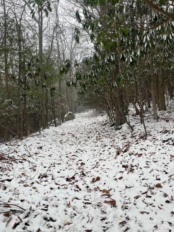 Property image 2 at 130 And 132 Teaberry Trail, Beech Mountain, NC 28604