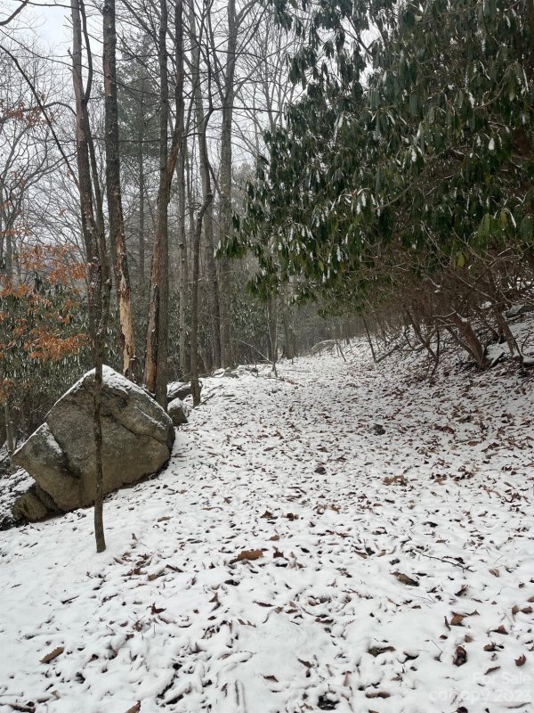 Property image 3 at 130 And 132 Teaberry Trail, Beech Mountain, NC 28604