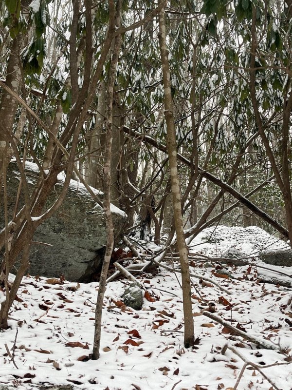 Property image 5 at 130 And 132 Teaberry Trail, Beech Mountain, NC 28604