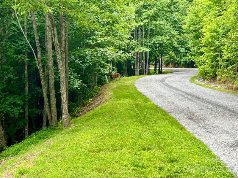 Property image 2 of 150 Thistlewynd Trail in Somersby Park, Laurel Park, NC 28739