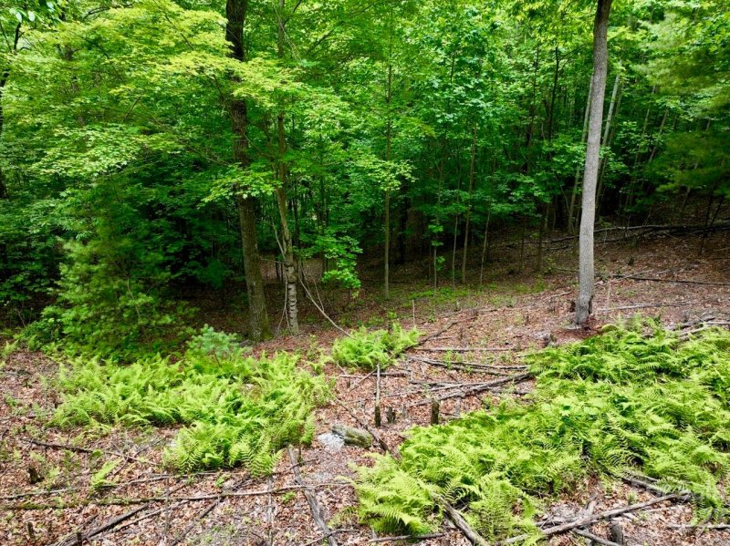 Property image 3 of 150 Thistlewynd Trail in Somersby Park, Laurel Park, NC 28739