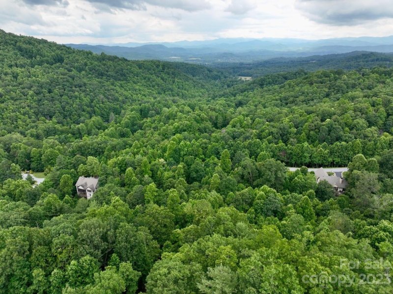 Property image 5 of 150 Thistlewynd Trail in Somersby Park, Laurel Park, NC 28739