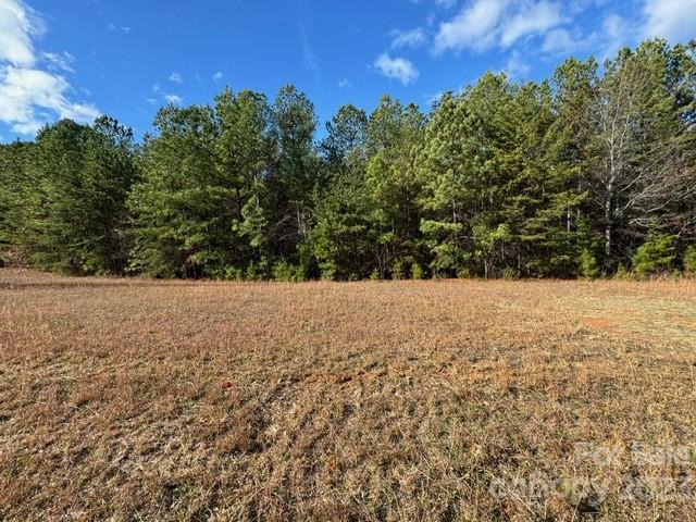 Property image 2 at 000 Palisade Drive, Rutherfordton, NC 28139