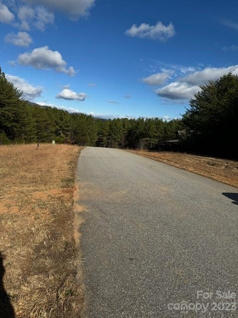 Property image 3 at 000 Palisade Drive, Rutherfordton, NC 28139