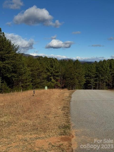 Property image 4 at 000 Palisade Drive, Rutherfordton, NC 28139