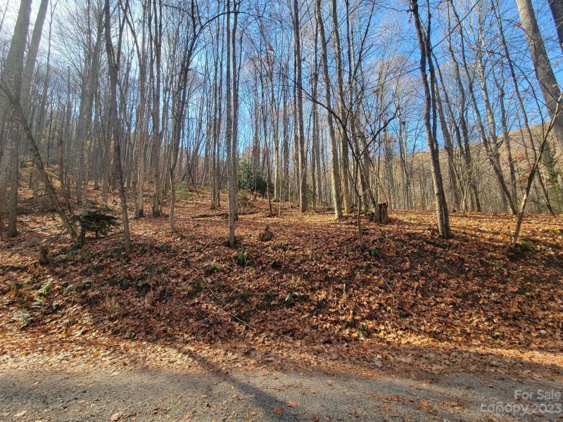 Property image 3 at 23 Forbidden Cove, Waynesville, NC 28785