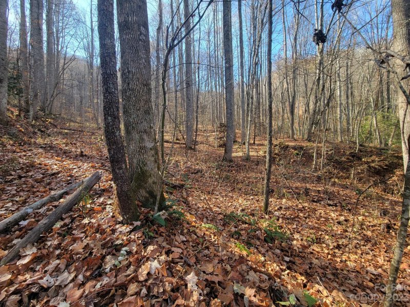 Property image 4 at 23 Forbidden Cove, Waynesville, NC 28785