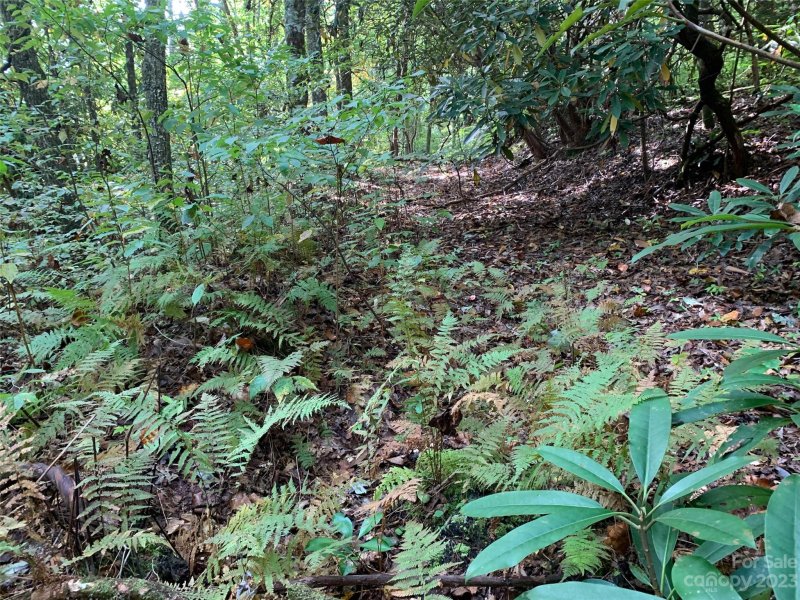 Property image 2 at 0000 Green Hollow Lane, Brevard, NC 28712