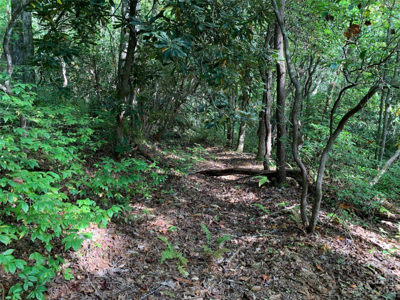 Property image 4 at 0000 Green Hollow Lane, Brevard, NC 28712