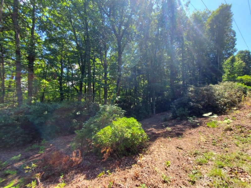 Property image 3 at Tbd Pisgah Forest Drive, Pisgah Forest, NC 28768