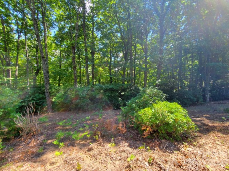 Property image 4 at Tbd Pisgah Forest Drive, Pisgah Forest, NC 28768