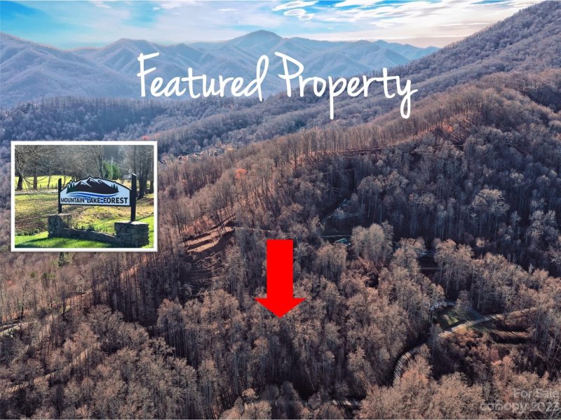 Property image 2 at Lot 505 Kitty Lane, Waynesville, NC 28785