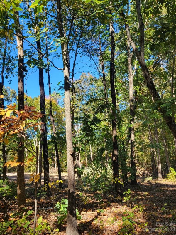 Property image 2 at 5213 Goldcrest Drive, Indian Trail, NC 28079