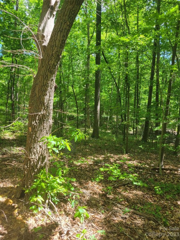 Property image 5 at 5213 Goldcrest Drive, Indian Trail, NC 28079