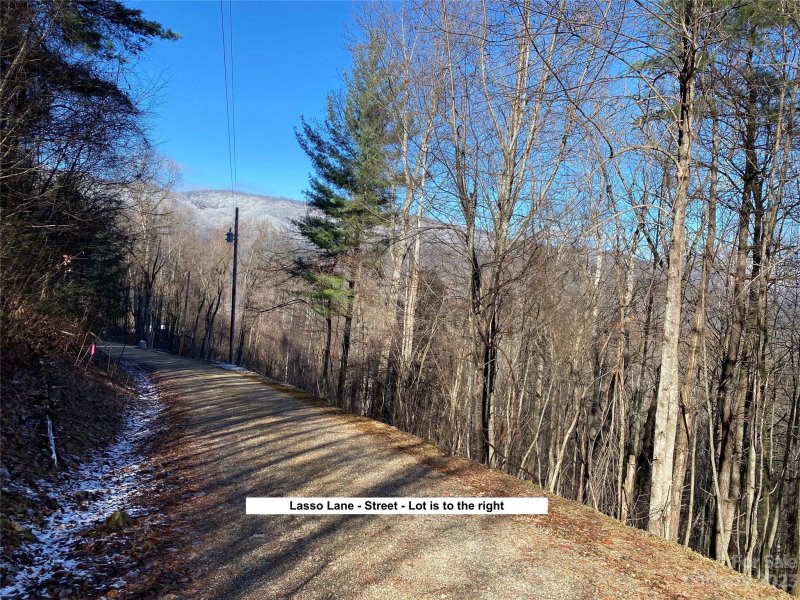 Property image 2 at Lot 209 Lasso Lane, Waynesville, NC 28785