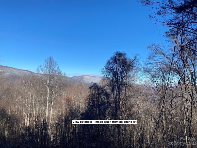 Property image 3 at Lot 209 Lasso Lane, Waynesville, NC 28785