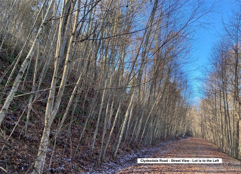 Property image 4 at Lot 209 Lasso Lane, Waynesville, NC 28785