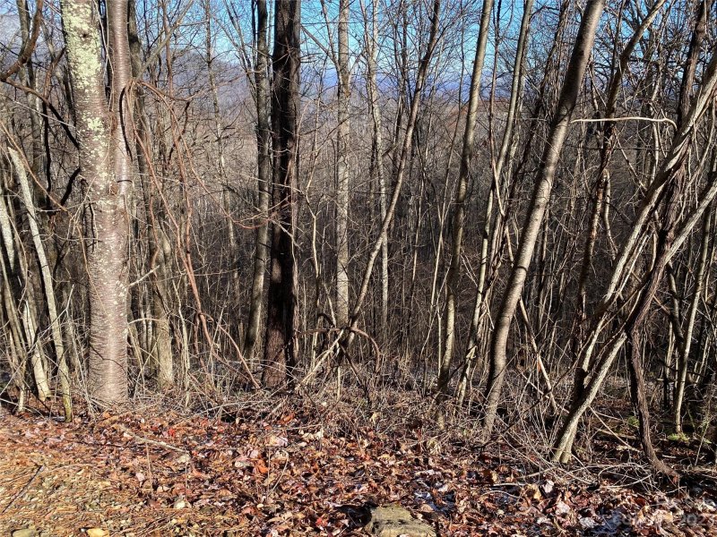 Property image 5 at Lot 209 Lasso Lane, Waynesville, NC 28785