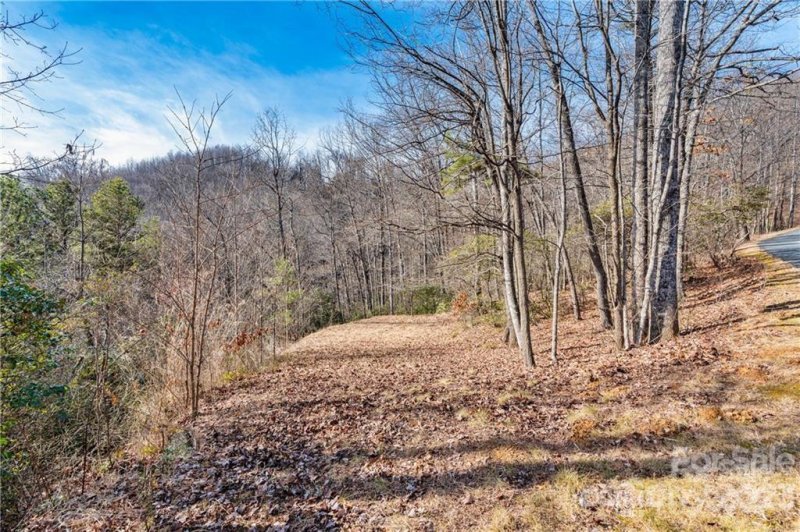 Property image 3 of 28 Trillium Lane in Creston, Black Mountain, NC 28711