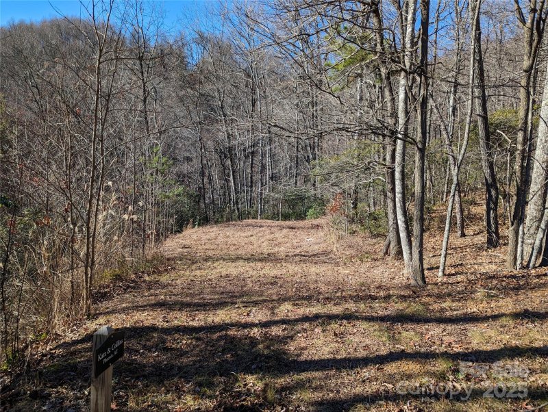 Property image 4 of 28 Trillium Lane in Creston, Black Mountain, NC 28711