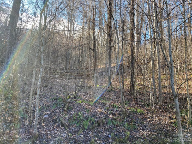 Property image 3 at Lot 28 Appaloosa Trail, Waynesville, NC 28785