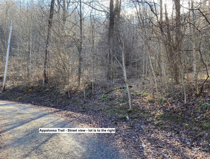 Property image 4 at Lot 28 Appaloosa Trail, Waynesville, NC 28785