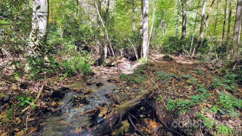 Property image 5 at 63 Speckled Feather Path, Sapphire, NC 28774