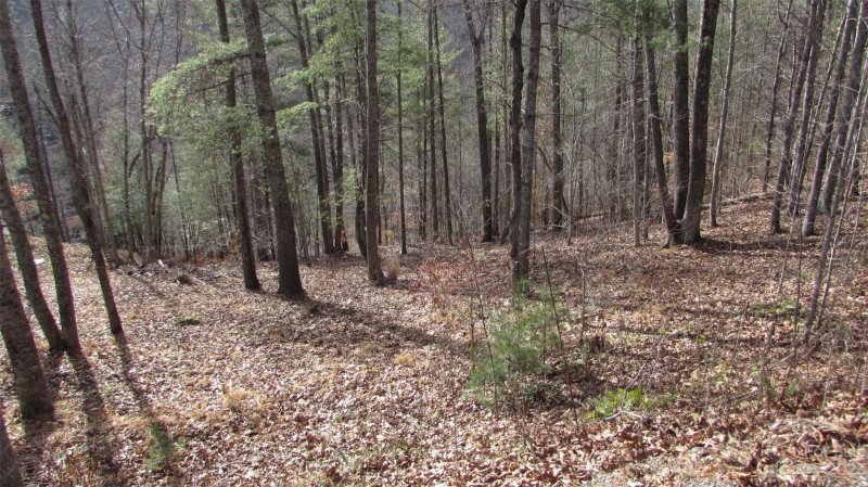 Property image 2 of 00 High Peak Drive in River Crest, Burnsville, NC 28714