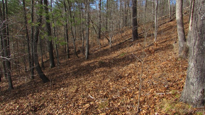 Property image 4 of 00 High Peak Drive in River Crest, Burnsville, NC 28714