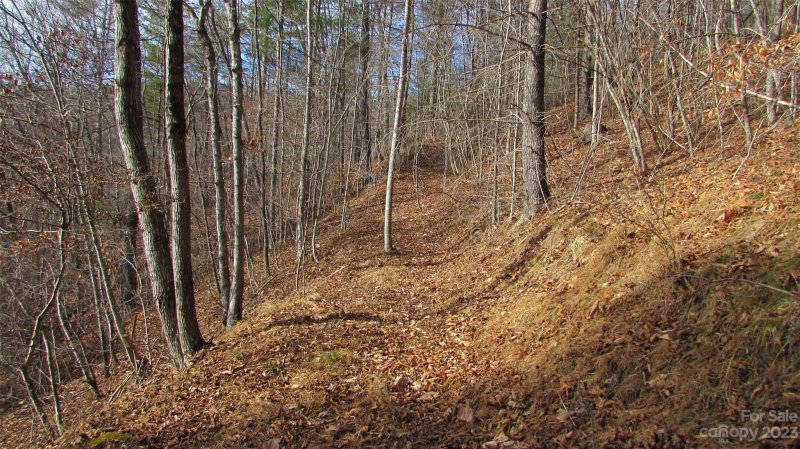 Property image 5 of 00 High Peak Drive in River Crest, Burnsville, NC 28714