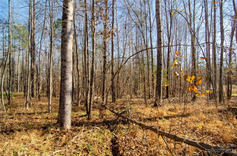 Property image 3 at 8051 Smooth Stone Court, Clover, SC 29710