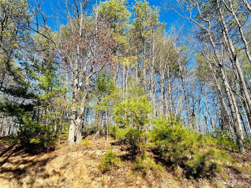 Property image 2 of 71 Turkey Trot Trail in French Broad Crossing, Marshall, NC 28753