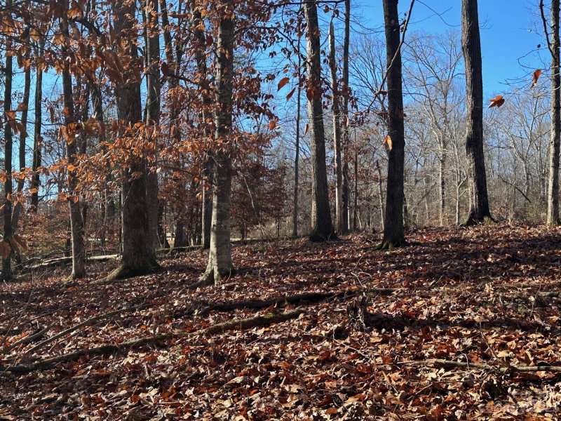 Property image 4 of Lot 74 Edgewater Drive in Edgewater, Norwood, NC 28128