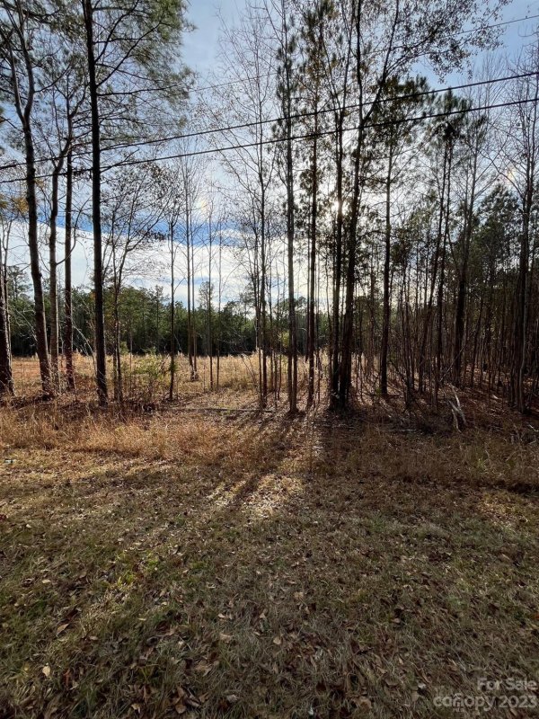 Property image 4 of 116 Trade Mill Court in Oak Park, Winnsboro, SC 29180