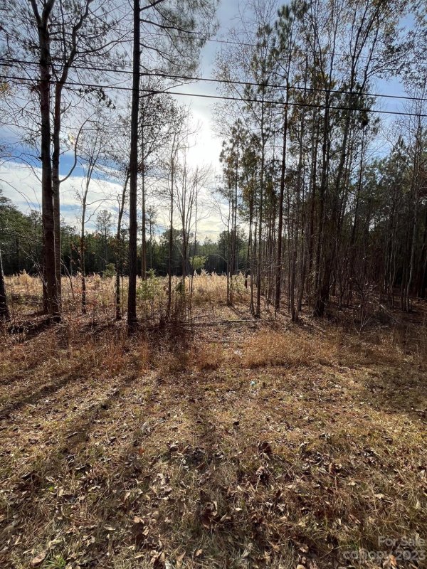 Property image 5 of 116 Trade Mill Court in Oak Park, Winnsboro, SC 29180