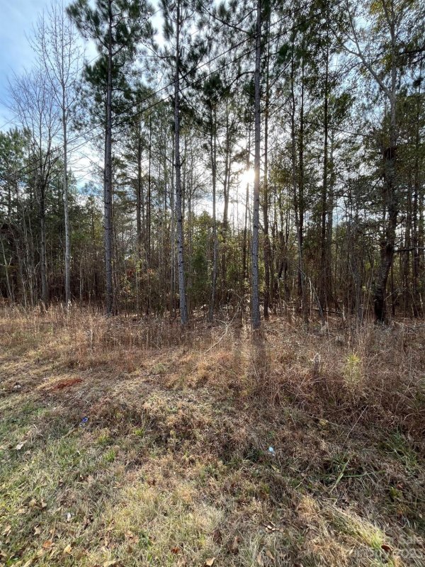 Property image 2 of 44 Trade Mill Court in Oak Park, Winnsboro, SC 29180