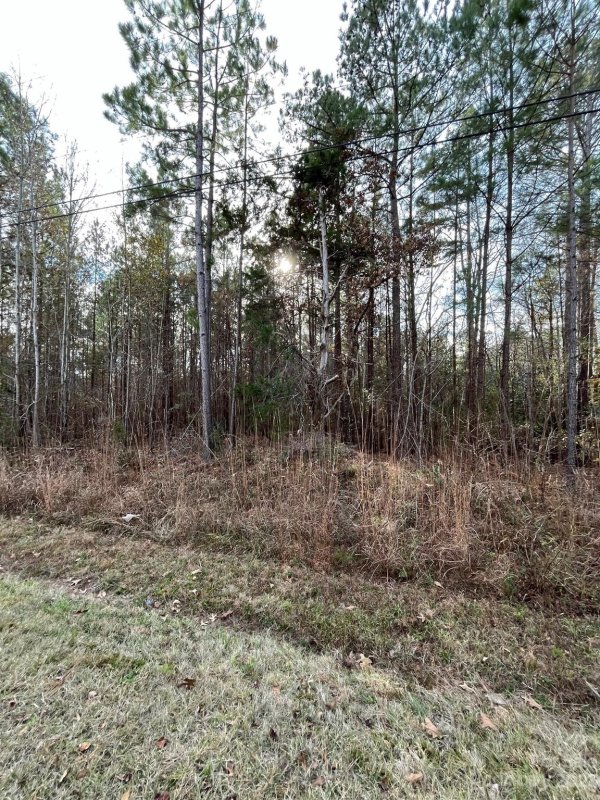 Property image 3 of 44 Trade Mill Court in Oak Park, Winnsboro, SC 29180