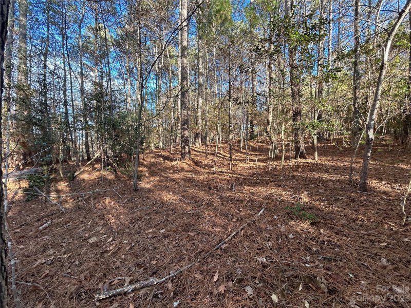 Property image 3 at 300 Riverwalk Drive, Connelly Springs, NC 28612