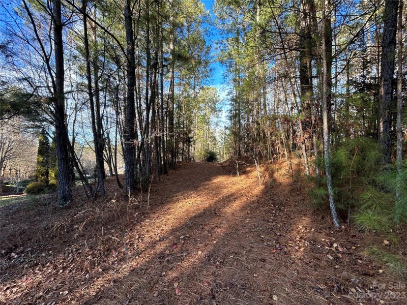 Property image 5 at 300 Riverwalk Drive, Connelly Springs, NC 28612