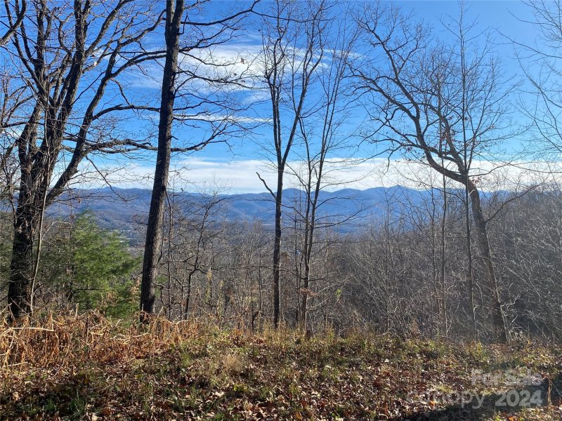 Property image 2 at Lot 47 Montrose Lane, Waynesville, NC 28785