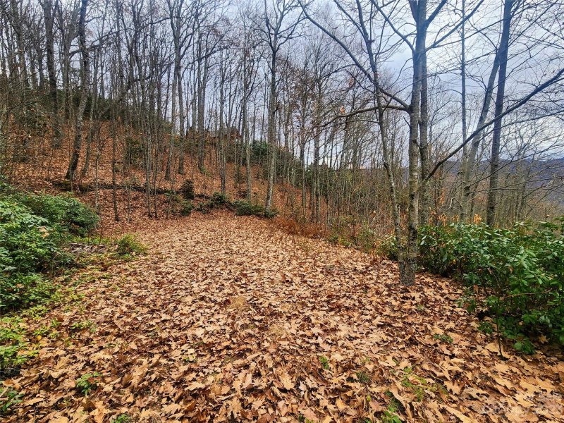 Property image 2 at 00 Aquina Mountain Road, Maggie Valley, NC 28751