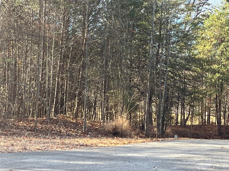 Property image 3 at 104 Pawnee Court, Statesville, NC 28677