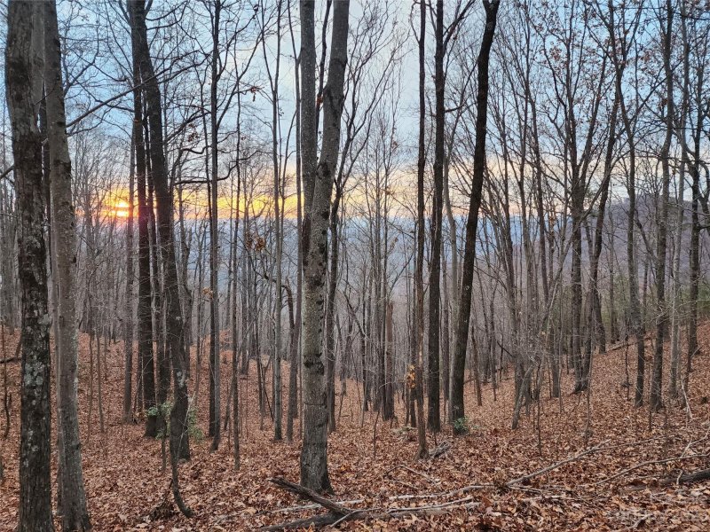 Property image 3 of 22 Mountain Lookout Drive in Golden Valley Estates, Bostic, NC 28018