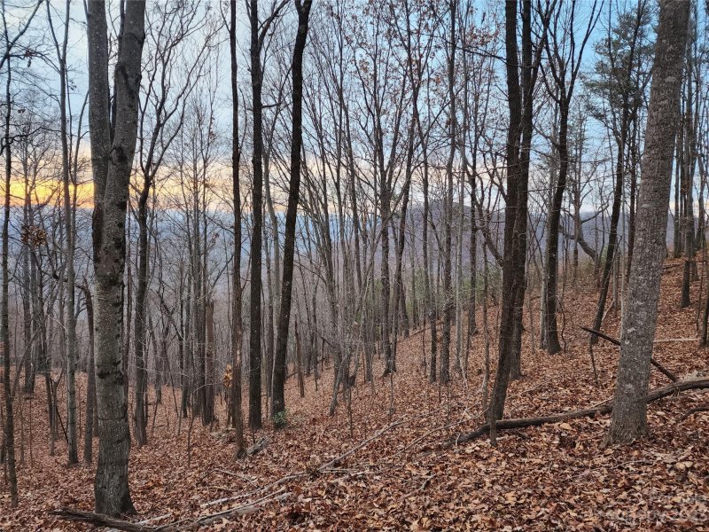 Property image 4 of 22 Mountain Lookout Drive in Golden Valley Estates, Bostic, NC 28018