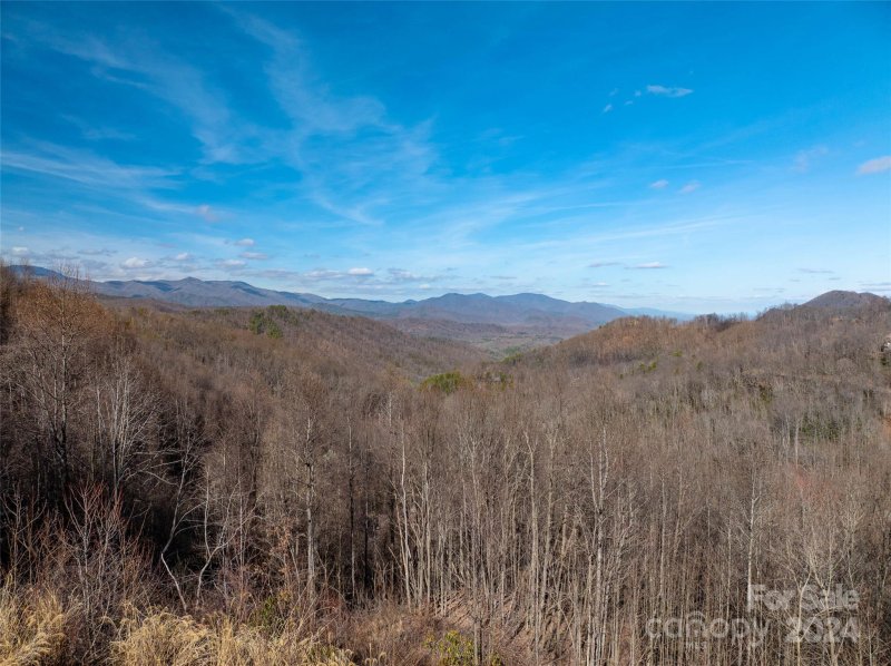 Property image 2 at 1200 Arcadia Falls Way, Black Mountain, NC 28711