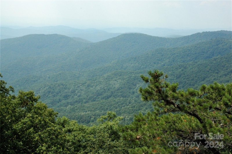 Property image 4 at 1200 Arcadia Falls Way, Black Mountain, NC 28711