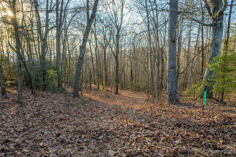 Property image 2 at 3592 Back Bluff Drive, Morganton, NC 28655